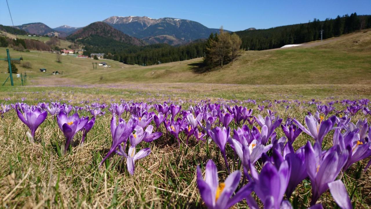 Apartmány Mammut a Yetti-Šafran Donovaly Exterior foto