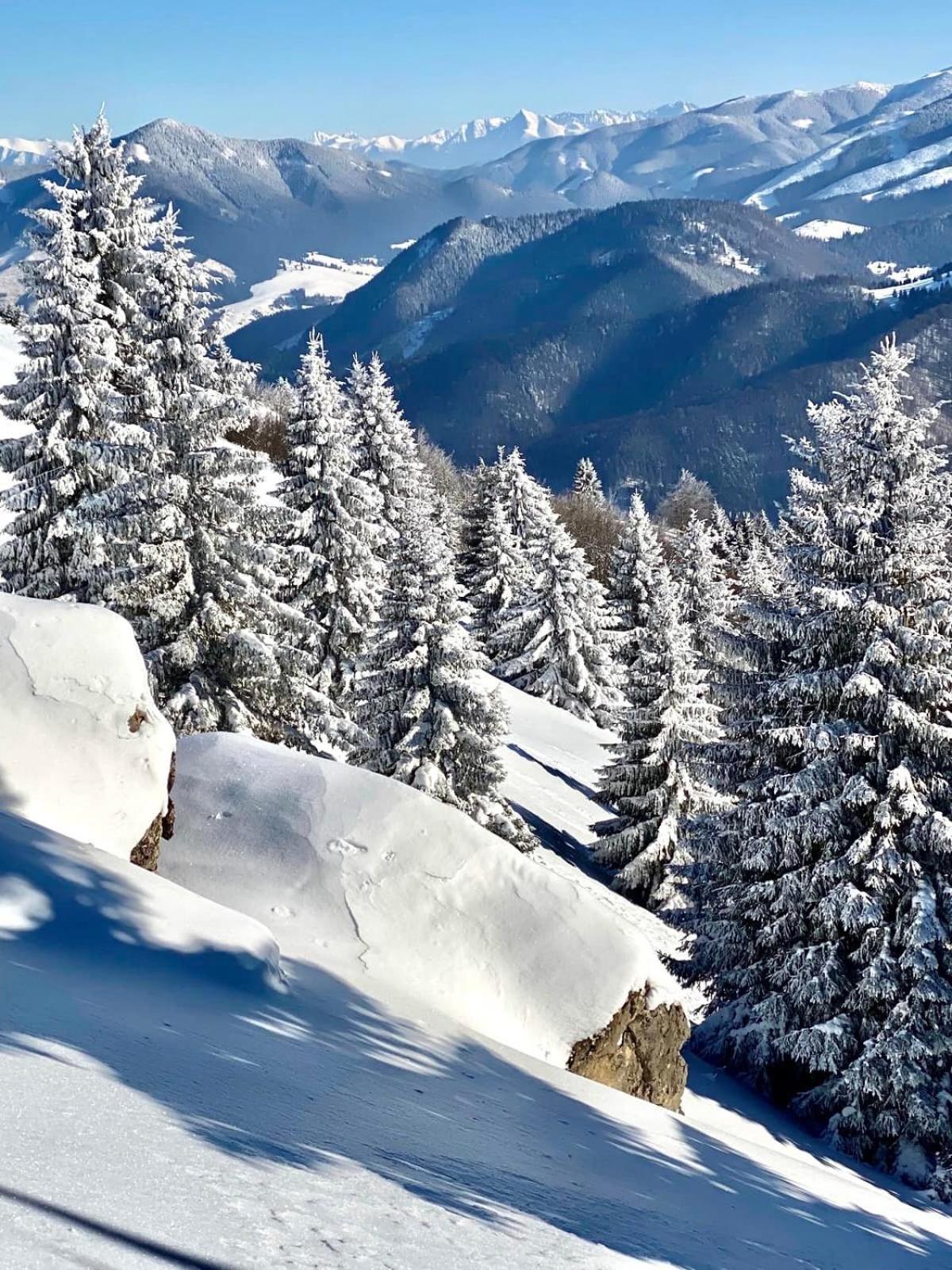 Apartmány Mammut a Yetti-Šafran Donovaly Exterior foto