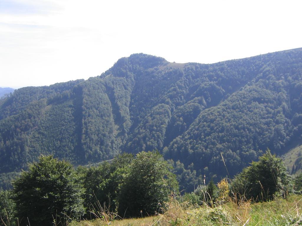 Apartmány Mammut a Yetti-Šafran Donovaly Exterior foto